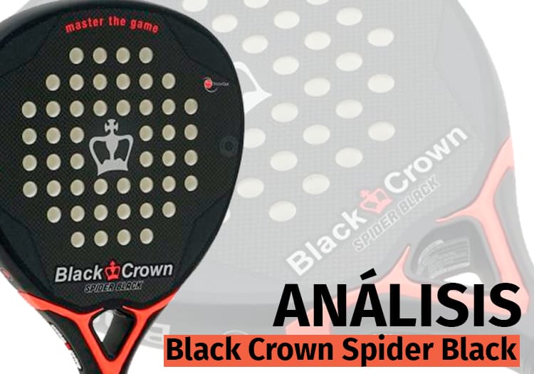 Black Crown Spider Black