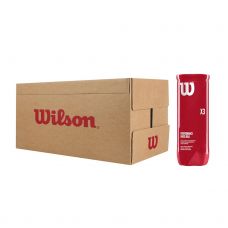 CAJON 24 BOTES WILSON PADEL X3 BALL